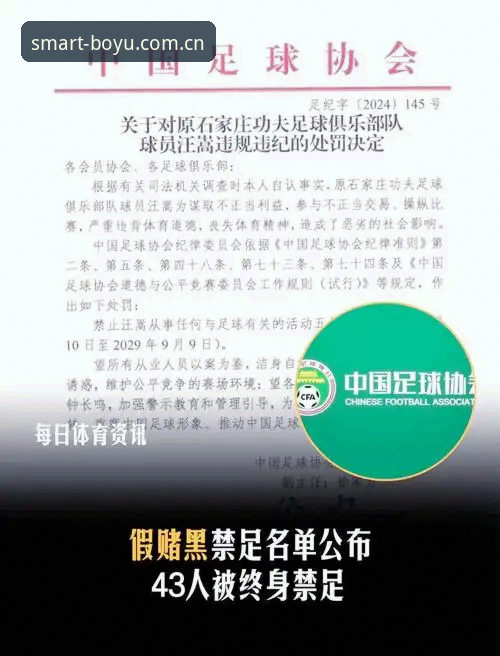 终身禁足vs5年处罚：中国足协第三批禁足名单深度解析，博鱼电脑版带你了解真相