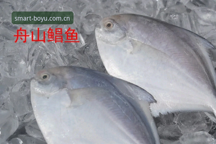 博鱼电脑版最新动态：博鱼app注册教程最新版全面解析，老用户分享实用经验